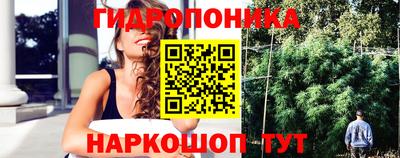 наркотики Дубна