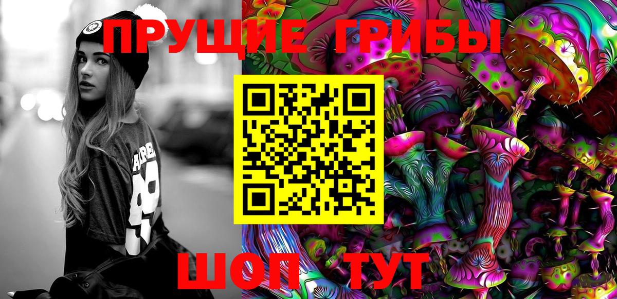 Калуга  купить   Вход с VPN  Псилоцибиновые грибы Magic Shrooms 